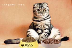 Homemade Cat Food: How to Create a Healthy and Happy Feline Feast – A Professional’s Perspective