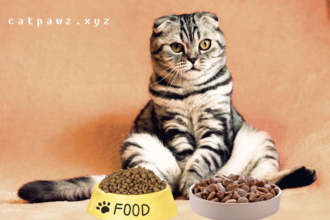 homemade cat food