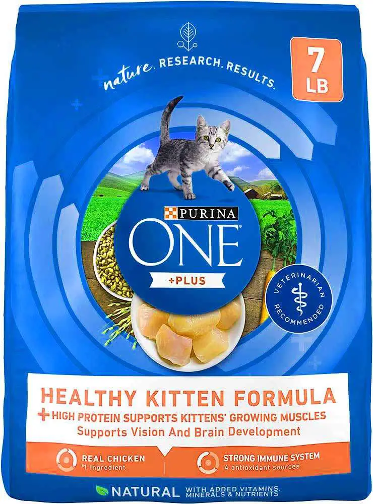 Purina ONE Plus Healthy Kitten Dry Cat Food